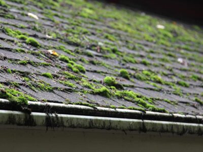 Epsom roof cleaning