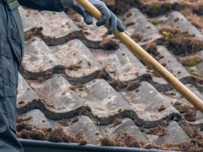 Epsom roof moss remover