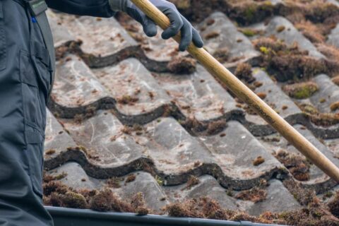 Surrey Roof Moss Removal Experts