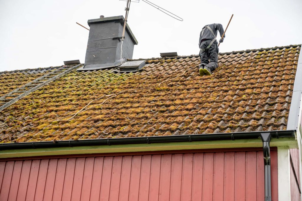 Roof moss removal Surrey roof moss removal