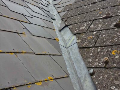 Epsom roof moss removal