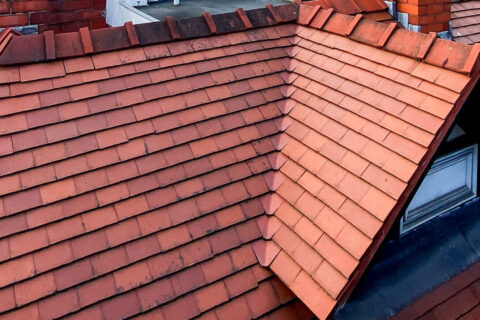 Roof Cleaning & Coating Epsom